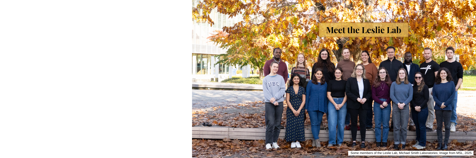 LeslieLab