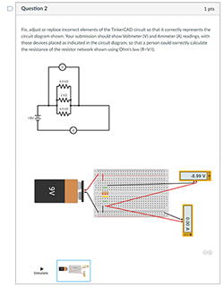 Circuit Activity