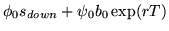 $\displaystyle \phi_{0} s_{down}+\psi_{0} b_{0}\exp(rT)$