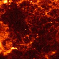 The Center of the Cas-A supernova remnant